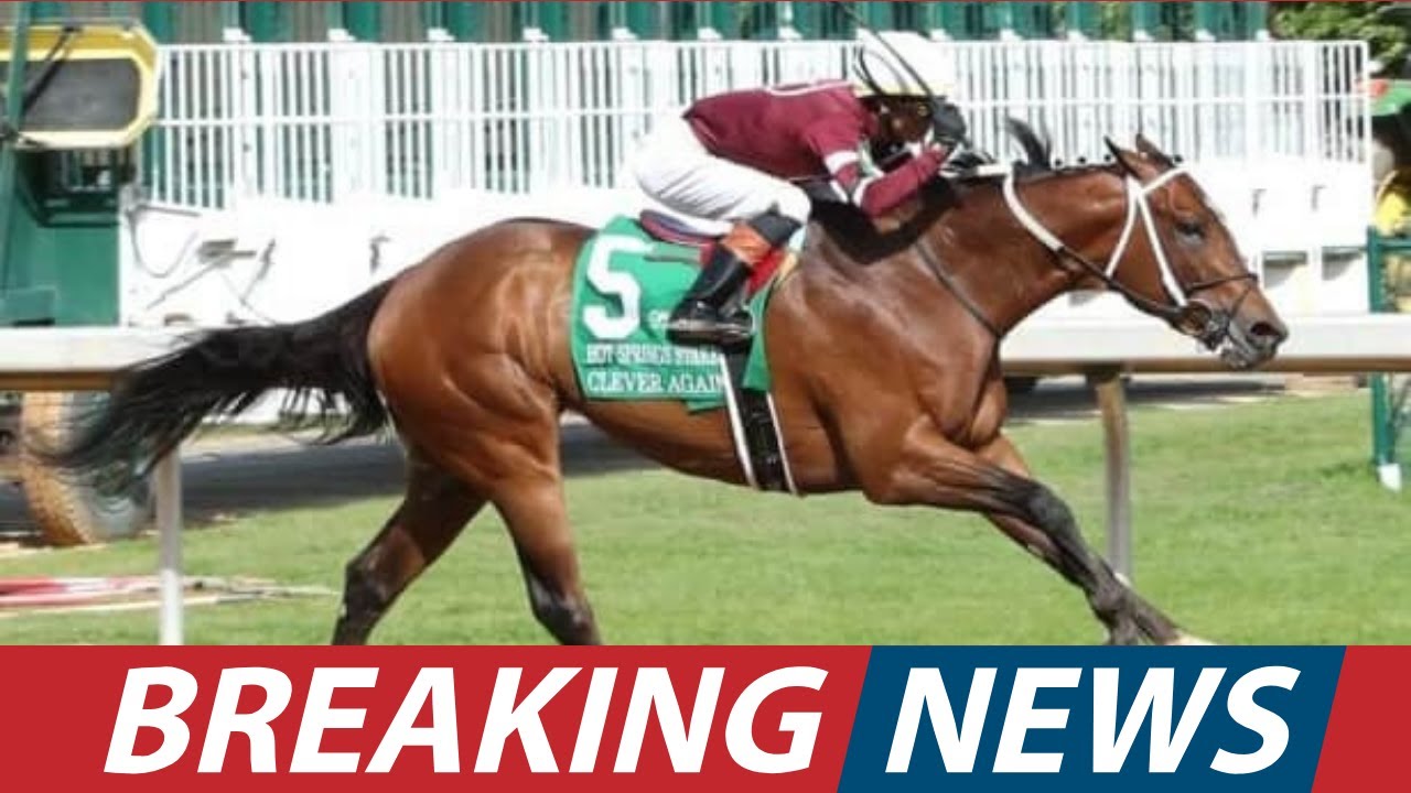 Эта кобыла просто порвала трассу. Станет ли она победительницей Кентукки Окс? | USA NEWS TODAY