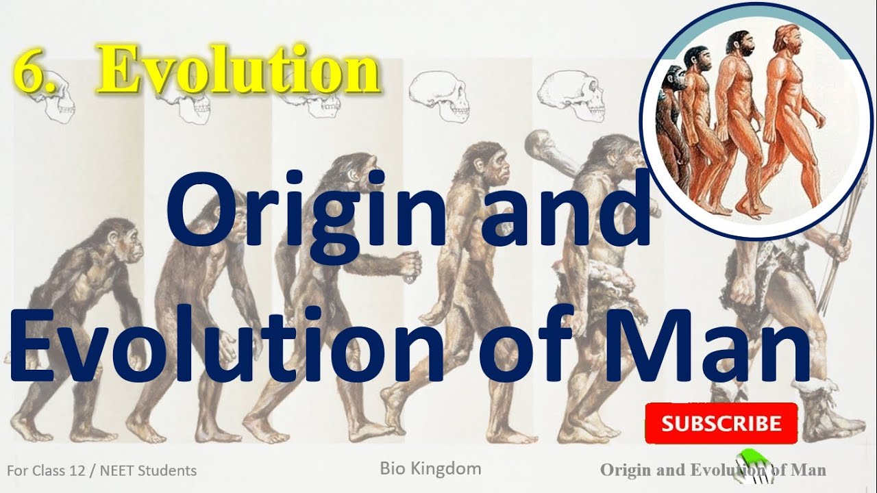 12th Class | Lesson 6 | Evolution | Origin and Evolution of Man ...