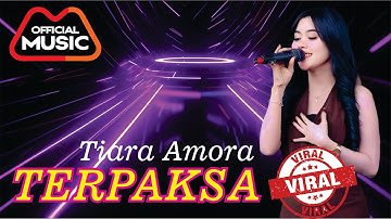 TERPAKSA - TIARA AMORA - CAMELIA PELAN TAPI PASTI - ANNIVERSARY SEKALACAFE4