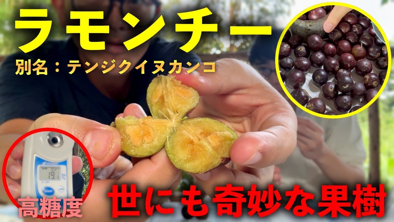 About the strange fruit 