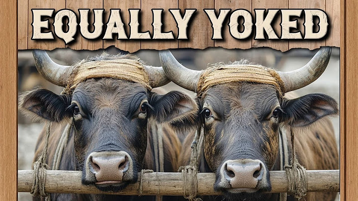 Equally Yoked (Part 2)