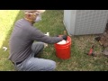 Comment tuer soimme les termites souterrains