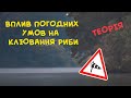 Вплив вітру, температури, атмосферного тиску на кльов риби. Вплив погоди на рибалку.