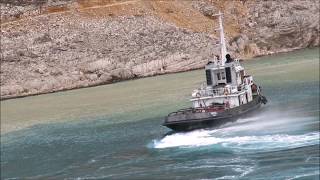 Disaster avoided Net Worth