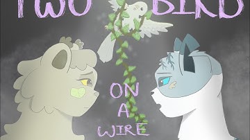 Two Birds On A Wire | Warrior Cats Ivypool and Dovewing 2 Weeks MAP CALL Closed | BACKUPS OPEN!!