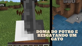 DOMA DO POTRO E RESGATANDO UM GATO*ele pulou mt (Mine E.P.6)