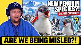 Did They REALLY Discover a New Penguin Species?! - Creepy TikToks & Conspiracies (Ep. 583)