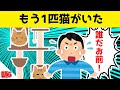 愛猫に違和感があるので娘に聞いてみた結果www