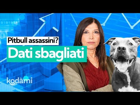 Are Pitbulls really "killer" dogs? Let’s clear up the data