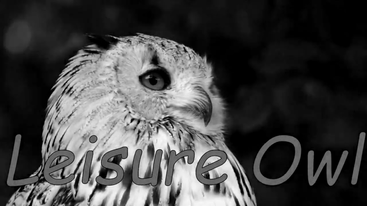 Leisure Owl Classic Movies
