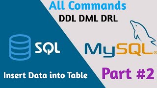 Insert Data into Table || MySQL Commands || DDL | DML | DRL Commands