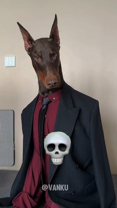 Scary Dogs 💀☠️