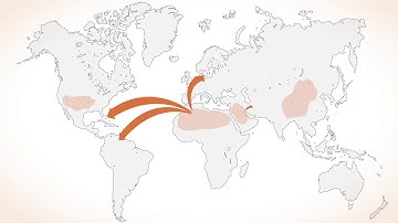 What is dust and how does it affect us? By InDust COST Action