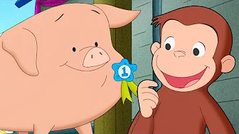 ¡Jorge entrena a un cerdito! | Episodios Completos | Jorge El Curioso En Español