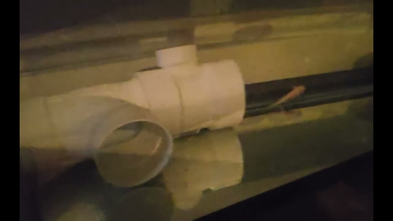 My fish tank is a non-euclidean space. 