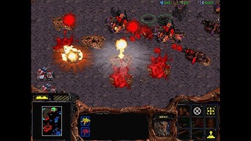 Original Starcraft Broodwar True Colors