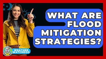 What Are Flood Mitigation Strategies? - Weather Watchdog