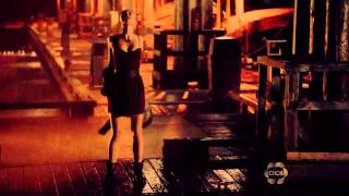 Multifemales-FLY
