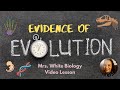 Uncovering Evidence of Evolution Through Fossils and Anatomy