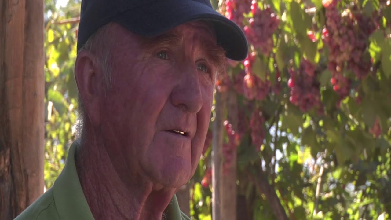 Aquí Fuimos Ejecutados