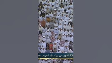 (فقلت استغفروا ربكم إنه كان غفارا). سوره نوح للشيخ خالد الغامدي