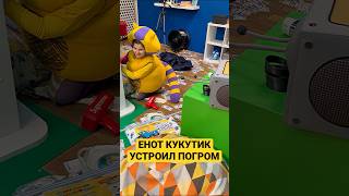 Кукутики Енот шалун устроил погром Шортс Shorts