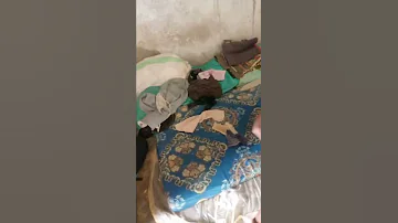 Picha Za Aibu 