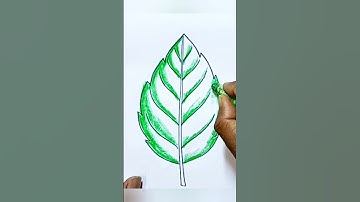 Leaf drawing easy step by step/#newlessonofdrawing /#youtubeshorts /#short
