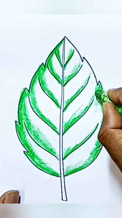 Leaf drawing easy step by step/#newlessonofdrawing /#youtubeshorts /#short