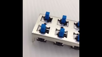 ALPS 12-bit key switch dual-interactive button self-locking