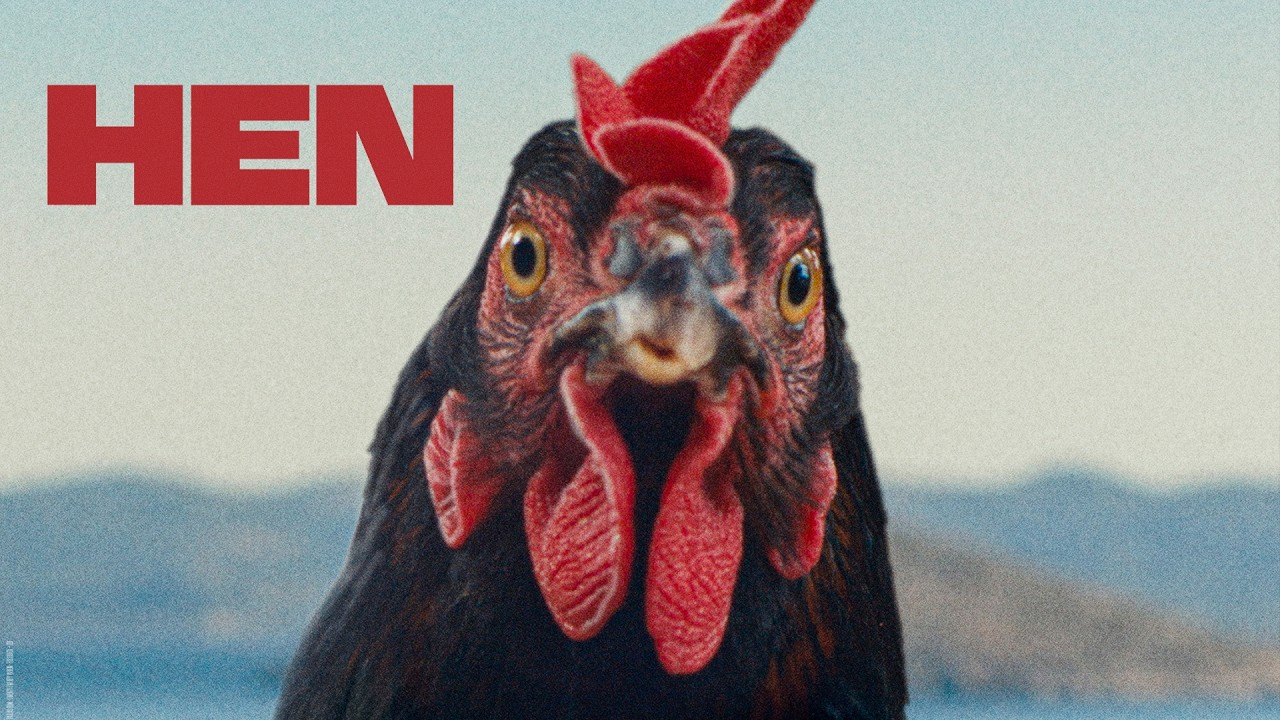 The Hen – Official Trailer