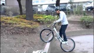 突き出しのようなオットピのうような