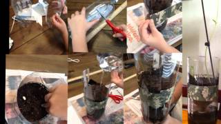 Eco-column Guide