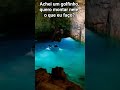 O que eu faço? #jp3#spino#memes
