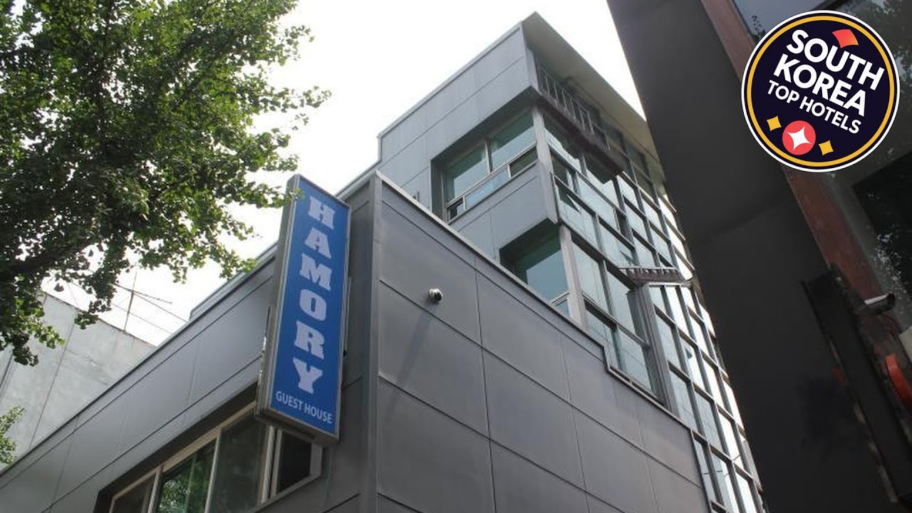Hamory Guesthouse Dongdaemun | Seoul, South Korea | Hotel Review 🛏️ ...