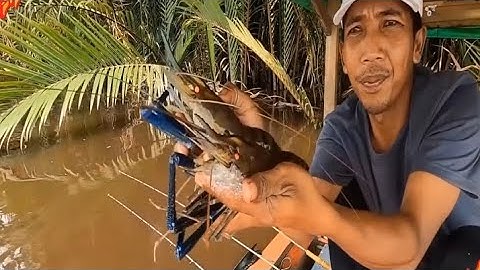 Câu Tôm Càng Xanh Bằng Lưỡi Câu Đặt Biệt Trên Sống Ai Mà Chả Thích Cơ Chứ