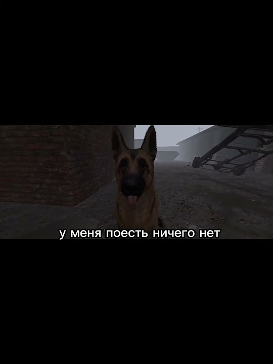 Смотрим новую игру для виар - YouTube