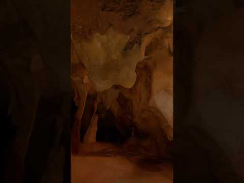 🇺🇸🇬🇧 🖼️ FrOgZ – The Dawn of Art (Meta Quest) Step inside Chauvet Cave with Daisy Ridley