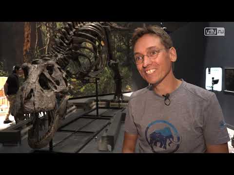 T. rex Trix staat weer in volle glorie in Naturalis
