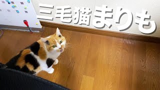 まりもが真っ先に向かった先は・・・？