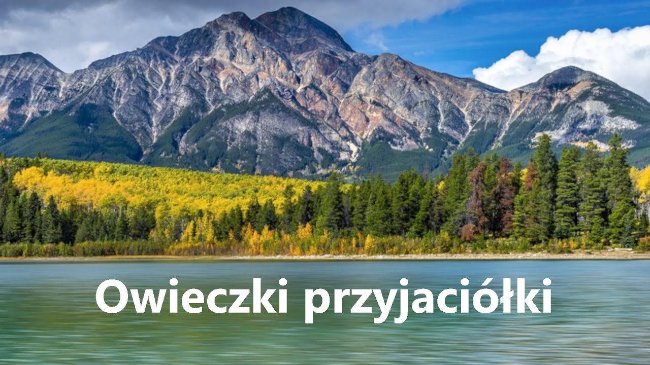 Sprawdzian Z Czarnej Owieczki Do Druku Dla Klas 2 Owieczki przyjaciółki - animacja dla dzieci - YouTube