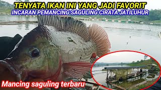 THIS FISH IS THE TARGET OF SAGULING ANGLERS IN CIRATA JATILUHUR || LATEST SAGULING FISHING 2025