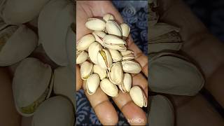 pesta subscribe shorts