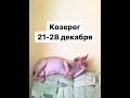 КОЗЕРОГ таро-прогноз 21-28 ДЕКАБРЯ