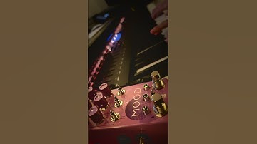 Mooded piano #piano #chasebliss #mood #ambientmusic #improvisation #ambientpedal #cinematic