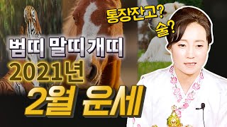 신년운세 2021년 2월운세. 범띠 말띠 개띠. XX띠는 술로 인한 망신과 관재가 온다?