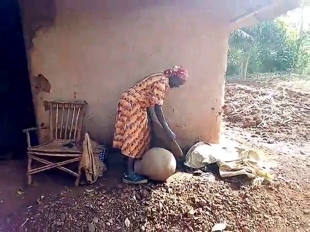 Cow Dung Used for Home in Kenya