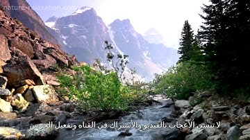 سورة الأخلاص 112للقارئ الشيخ سعد الغامدي