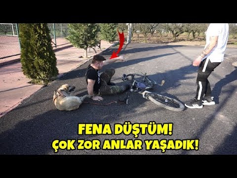 Paten Ve Bisikletle Kopek Gezdirmeye Calisinca Cok Zor Anlar Yasadik Youtube