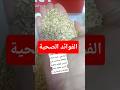 ماهي فوائد الشوفان ةو الخرطال للطيور تربية الطيور طيور  اكسبلور 